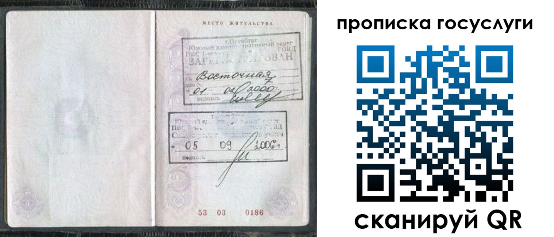 временная регистрация для школы в Елизово